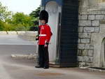 London  Windsor  Das Schloß Windsor Wache mit Bärenfellmütze (GB).